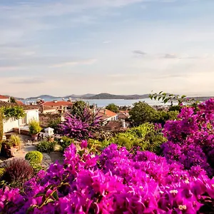 Begonvilla Evleri Apart Otel Ayvalı